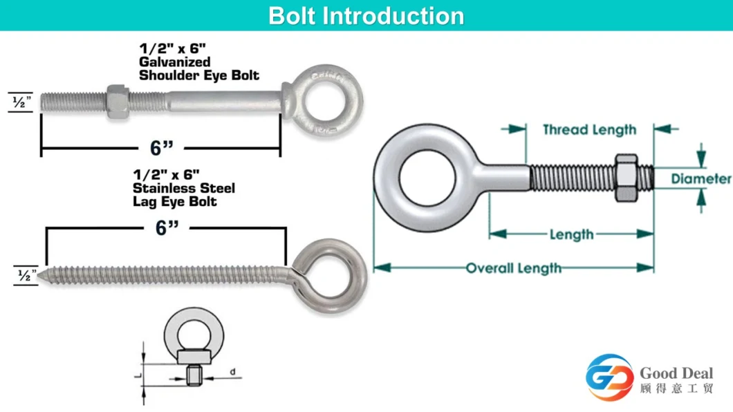 Stainless Carbon Steel Copper Aluminum Alloy Titanium Eye Bolt and Nut